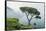 Italy, Amalfi Coast, Ravello, view of Coastline from Villa Rufolo-Rob Tilley-Framed Stretched Canvas