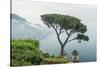 Italy, Amalfi Coast, Ravello, view of Coastline from Villa Rufolo-Rob Tilley-Stretched Canvas