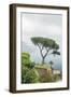 Italy, Amalfi Coast, Ravello, View of Coastline from Villa Rufolo-Rob Tilley-Framed Photographic Print