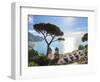 Italy, Amalfi Coast, Ravello, Villa Rufolo-Michele Falzone-Framed Photographic Print