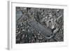 Italy, Ancient Rome, Plastic Model with Circus Maximus-null-Framed Giclee Print