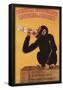 Italy - Anisetta Evangelisti Liquore Da Dessert Promotional Poster-null-Framed Poster