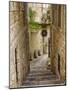 Italy, Apulia, Foggia, Vieste. A picturesque alley in Vieste old town.-Julie Eggers-Mounted Photographic Print