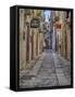 Italy, Apulia, Foggia, Vieste. A picturesque alley in Vieste old town.-Julie Eggers-Framed Stretched Canvas