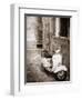 Italy, Apulia, Lecce District, Salentine Peninsula, Salento, Lecce, Vespa Scooter-Francesco Iacobelli-Framed Photographic Print