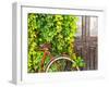 Italy, Apulia, Lecce District, Salentine Peninsula, Salento, Otranto, Street-Francesco Iacobelli-Framed Photographic Print