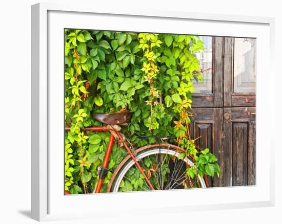 Italy, Apulia, Lecce District, Salentine Peninsula, Salento, Otranto, Street-Francesco Iacobelli-Framed Photographic Print