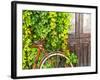 Italy, Apulia, Lecce District, Salentine Peninsula, Salento, Otranto, Street-Francesco Iacobelli-Framed Photographic Print