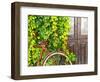 Italy, Apulia, Lecce District, Salentine Peninsula, Salento, Otranto, Street-Francesco Iacobelli-Framed Photographic Print