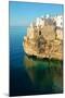 Italy, Apulia, Polignano a Mare. Old village on a cliff.-Michele Molinari-Mounted Photographic Print