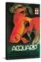 Italy - Aquarium & Municipal Park Promotional Poster-Lantern Press-Stretched Canvas