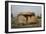 Italy, Bari Province, Apulia Region, Near Bisceglie, Chianca Dolmen-null-Framed Giclee Print