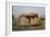 Italy, Bari Province, Apulia Region, Near Bisceglie, Chianca Dolmen-null-Framed Giclee Print