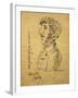 Italy, Bergamo, Self-Caricature of Italian Composer Gaetano Donizetti, Pen Drawing-null-Framed Giclee Print
