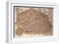 White Frame