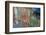 Italy, Burano, reflection of colorful houses in canal.-Merrill Images-Framed Photographic Print