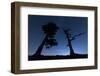 Italy, Calabria, Loricati Pines on the Pollino at Night-Alfonso Morabito-Framed Photographic Print