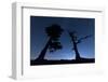 Italy, Calabria, Loricati Pines on the Pollino at Night-Alfonso Morabito-Framed Photographic Print