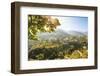 Italy, Campagnia, Amalfi Coast, Ravello. The valley around Ravello.-Francesco Iacobelli-Framed Photographic Print