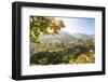 Italy, Campagnia, Amalfi Coast, Ravello. The valley around Ravello.-Francesco Iacobelli-Framed Photographic Print