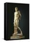 Italy, Campania, Cumae, Diomedes, Hellenistic-Roman Copy after the Original Greek Statue-null-Framed Stretched Canvas