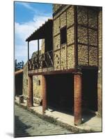 Italy, Campania, Herculaneum, View of Trellis House BC-null-Mounted Giclee Print