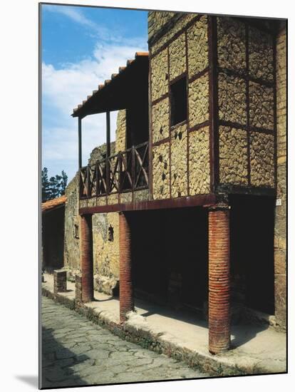 Italy, Campania, Herculaneum, View of Trellis House BC-null-Mounted Giclee Print