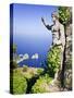 Italy, Campania, Napoli District, Anacapri, Solaro Mount, the Statue of Emperor Augustus, View from-Francesco Iacobelli-Stretched Canvas