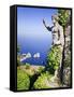 Italy, Campania, Napoli District, Anacapri, Solaro Mount, the Statue of Emperor Augustus, View from-Francesco Iacobelli-Framed Stretched Canvas