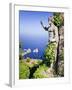 Italy, Campania, Napoli District, Anacapri, Solaro Mount, the Statue of Emperor Augustus, View from-Francesco Iacobelli-Framed Photographic Print