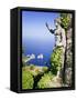 Italy, Campania, Napoli District, Anacapri, Solaro Mount, the Statue of Emperor Augustus, View from-Francesco Iacobelli-Framed Stretched Canvas