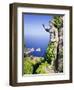 Italy, Campania, Napoli District, Anacapri, Solaro Mount, the Statue of Emperor Augustus, View from-Francesco Iacobelli-Framed Photographic Print