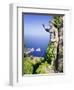 Italy, Campania, Napoli District, Anacapri, Solaro Mount, the Statue of Emperor Augustus, View from-Francesco Iacobelli-Framed Photographic Print