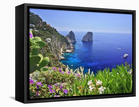 Italy, Campania, Napoli District, Capri, Faraglioni-Francesco Iacobelli-Framed Stretched Canvas