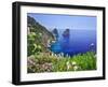 Italy, Campania, Napoli District, Capri, Faraglioni-Francesco Iacobelli-Framed Photographic Print