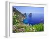 Italy, Campania, Napoli District, Capri, Faraglioni-Francesco Iacobelli-Framed Photographic Print