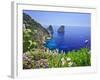 Italy, Campania, Napoli District, Capri, Faraglioni-Francesco Iacobelli-Framed Photographic Print