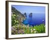 Italy, Campania, Napoli District, Capri, Faraglioni-Francesco Iacobelli-Framed Photographic Print