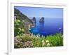 Italy, Campania, Napoli District, Capri, Faraglioni-Francesco Iacobelli-Framed Photographic Print