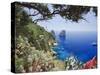 Italy, Campania, Napoli District, Capri, Faraglioni-Francesco Iacobelli-Stretched Canvas