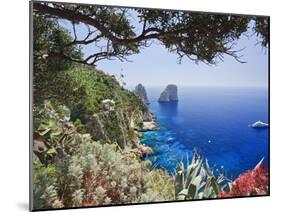 Italy, Campania, Napoli District, Capri, Faraglioni-Francesco Iacobelli-Mounted Photographic Print