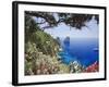 Italy, Campania, Napoli District, Capri, Faraglioni-Francesco Iacobelli-Framed Photographic Print