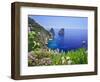 Italy, Campania, Napoli District, Capri, Faraglioni-Francesco Iacobelli-Framed Photographic Print