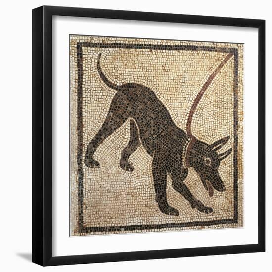 Italy, Campania, Pompeii, Mosaic Work Depicting a Dog-null-Framed Premium Giclee Print