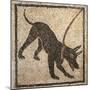 Italy, Campania, Pompeii, Mosaic Work Depicting a Dog-null-Mounted Premium Giclee Print