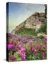 Italy, Campania, Salerno District, Peninsula of Sorrento, Positano-Francesco Iacobelli-Stretched Canvas