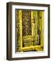 Italy, Chiusure. Infrared image of old door in typical buildings in the village.-Terry Eggers-Framed Photographic Print