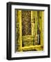 Italy, Chiusure. Infrared image of old door in typical buildings in the village.-Terry Eggers-Framed Photographic Print