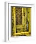 Italy, Chiusure. Infrared image of old door in typical buildings in the village.-Terry Eggers-Framed Photographic Print