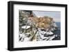 Italy, cinque Terre, Manarola. Snow in Manarola only every 25 years it happens to snow in the cinqu-Catherina Unger-Framed Photographic Print